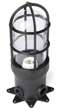 ProSeries Medium Base Luminaire with Glass Globe and Safety Cage