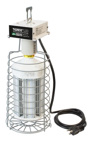 TIGRESS LED 100-watt